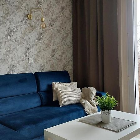 Apartament Skamander Stary Toruń Buitenkant foto